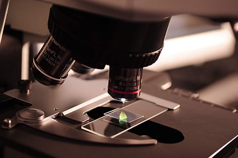 Scientists identify molecule to treat fibrotic diseases