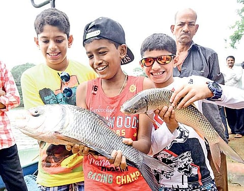 Children catch live action at the fish carnival in Mangaluru on Sunday