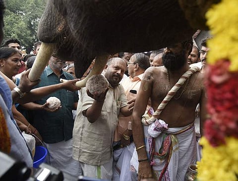 Kerala elephant lovers cherish 'Aanayoottu' amid torrential showers