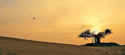 A still from the documentary