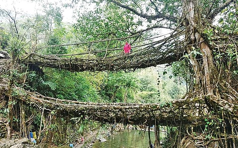 Umiang double-decker bridge