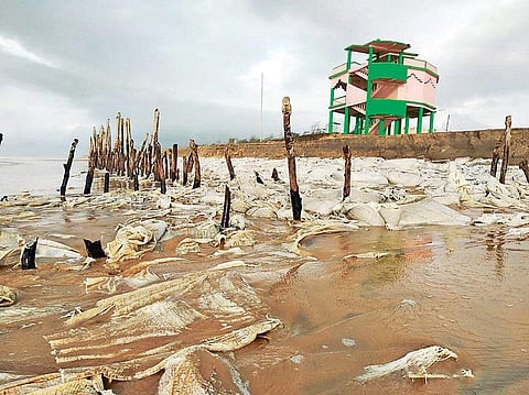 The sea view tourist complex on Siali beach I Express