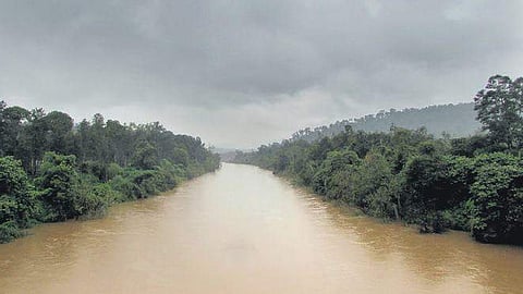 River Bhadra flows amid verdant forests in Chikkamagaluru district 