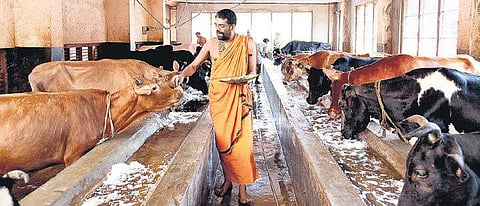 Conservative temple town was awed by his unusual ways