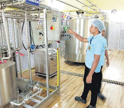 Workers in a milk processing plant. (Photo |EPS)