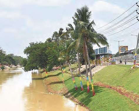 Bandar canal wears a green look