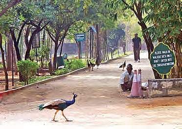 A file photo of Hyderabad’s KBR Park
