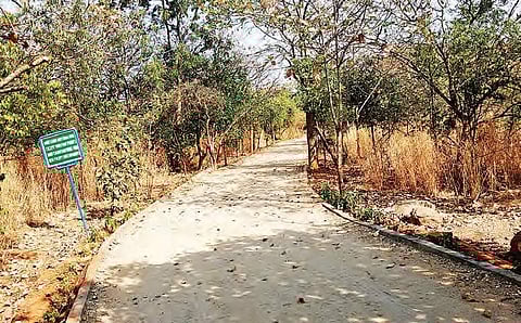 A file picture of KBR park | Express