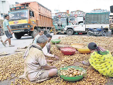 Truckers’ strike has led to an almost complete halt in the supply of vegetables to the city’s Agricultural Produce Market Committee (APMC) yard | Express