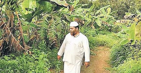 Sharafudheen Musliyar has been working as a muazzin (prayer caller) for four years in Peruvallur panchayat. He began farming last year | Express