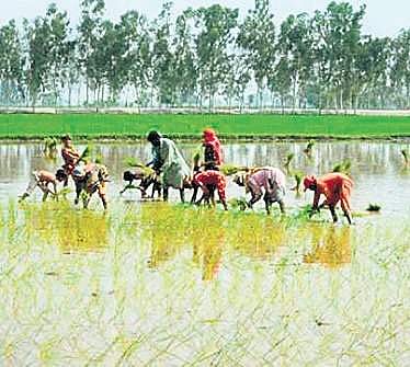 Image used for representational purpose.