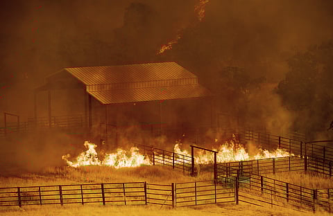 Flames rise around an outbuilding as the County fire burns in Guinda, Calif., Sunday July 1, 2018. Evacuations were ordered as dry, hot winds fueled a wildfire burning out of control Sunday in rural Northern California, sending a stream of smoke some 75 m