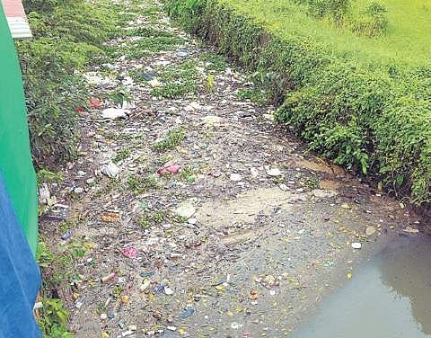Septic waste dumped in the T P Canal