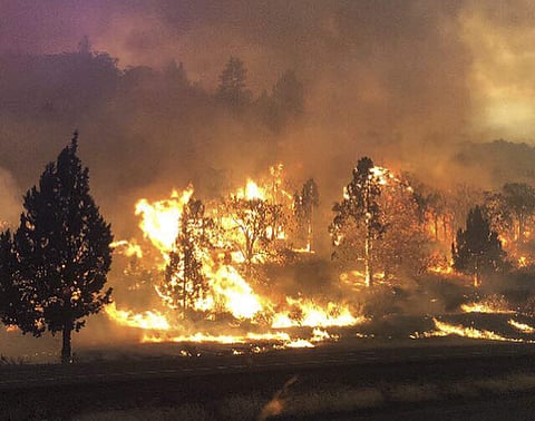 California Wildfires have destroyed thousand of buildings (Photo | AP)