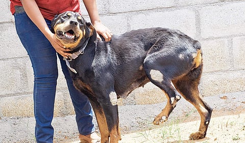 Image for representational purpose only. (File photo)