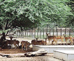 Image for representational purpose only