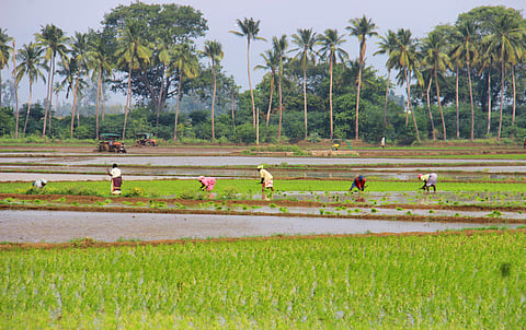 Image used for representational purpose only