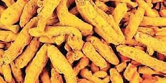 No light at end of tunnel for Nizamabad turmeric farmers