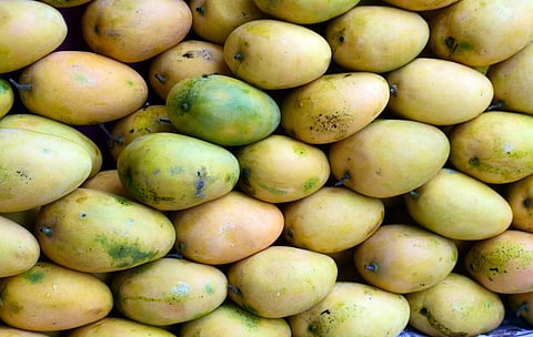 Image for representational purpose only