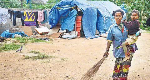 Yankamma, who takes her son to work as there is no one to take care of him, has been offered a job by our reader. | Express Photo Services