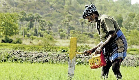 Karnataka Revenue Department to come up with new software for land  records and auditing
