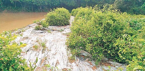 Plastic mulching method involves covering the soil with reams of plastic to prevent moisture evaporation and growth of weeds