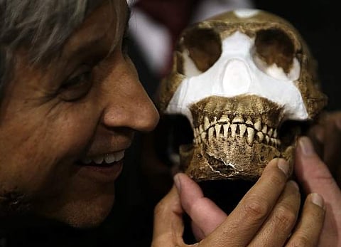 Representational image. Professor Adam Habib, holds a reconstruction of Homo naledi presented during the announcement made in Magaliesburg, South Africa, Thursday, Sept. 10, 2015.| Associated Press