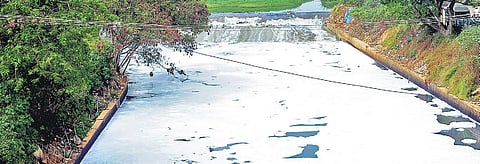 Gautam has started a platform which brings together people with common concern for the lake