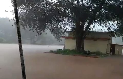 Rains (Photo | Twitter)