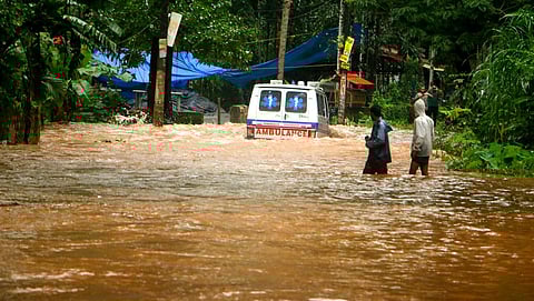 (Photo | EPS/TP Sooraj)