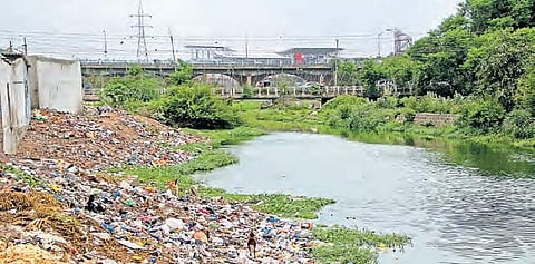 Traces of pesticides in milk collected from the Musi riverbank | S SENBAGAPANDIYAN