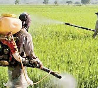 Once Indian companies get the ability to manufacture these pesticides, they can be available at cheaper price.