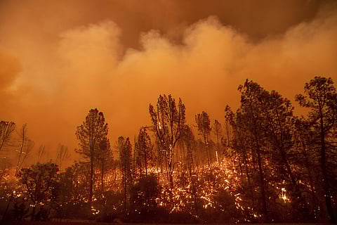 The Carr Fire burns along Highway 299 in Redding, Calif., on Thursday, July 26, 2018. (Photo | AP)
