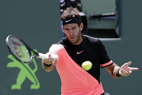 Juan Martin del Potro of Argentina (File | AP)