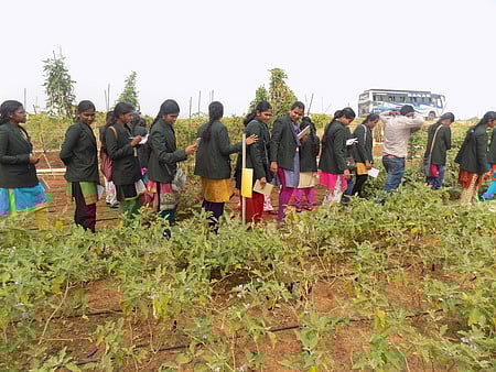 Image for representational purpose only. (Photo |EPS)