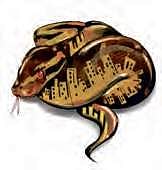 Torrential rain sees spurt in snakebite cases