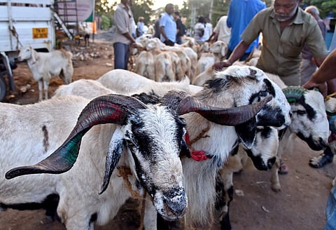 EPS image used for representational purpose only.