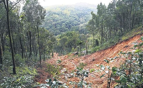 Landslide at Sitharam Patti near Kalur village in Kodagu |  Pushkar V