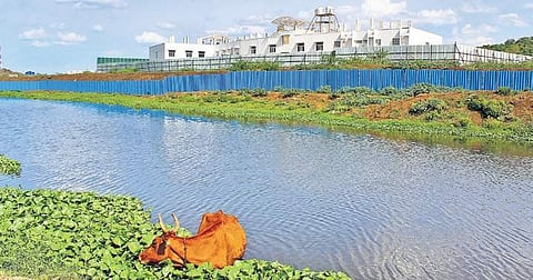 The private school at Thiruneermalai is located close to the junction where Chembarambakkam water channel and Adyar river meet | (Photo | Debadatta Mallick/ESP)