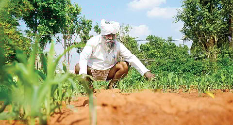 Image used for representational purpose only.