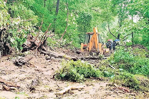The soon-to-be launched system empowers forest departments to detect encroachments, illegal land-use changes, and environmental degradation within days.