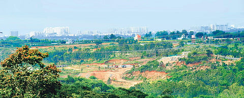 Bannerghatta. (Photo | EPS)