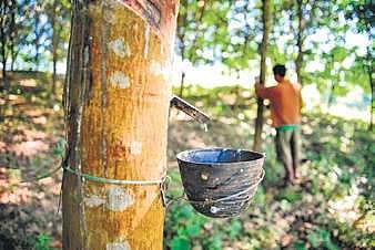 Image for representational purpose only.