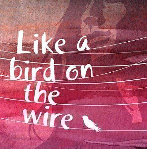 Like a Bird on the Wire.