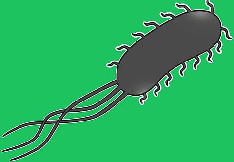 Image for representational purpose only.