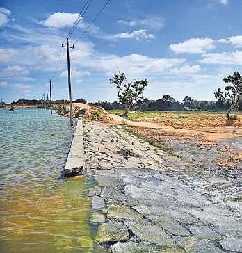 Lakes in Kolar. (Photo | EPS)