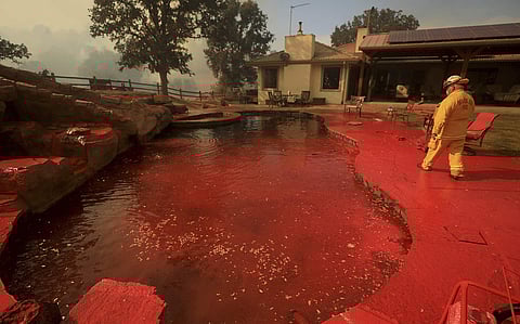 A firefighter walks around a pool of a home sprayed by phos-chek fire retardant after an air tanker made a pass while fighting a wildfire on Scotts Valley Road near Lakeport, Calif. (Photo | AP)