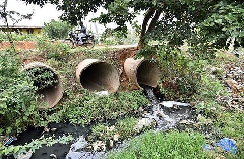As households located in Banu Nagar, Venkatachalam Nagar and West Balaji Nagar near Ambattur and Thirumillavoyal are not connected to the underground sewage system, untreated sewage is directly let into the Puzhal lake. (Photo | P Jawahar/EPS)