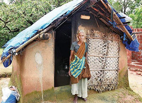 For the last 40 years, 103-year-old Sarasajji of Kadangodu-Karje village near Brahmavara has been living a life of solitude. (Photo| EPS)