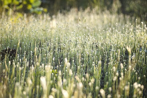 Image used for representational purpose.